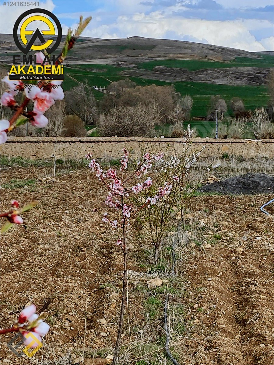 DİVANLI SATILIK BAĞ EVİ VE ARSASI - YOZGAT MERKEZ fotoğraf 10